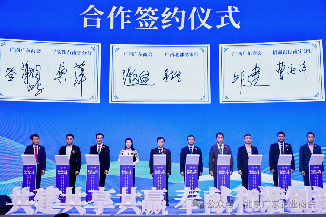 1764089542378118.png 7.png